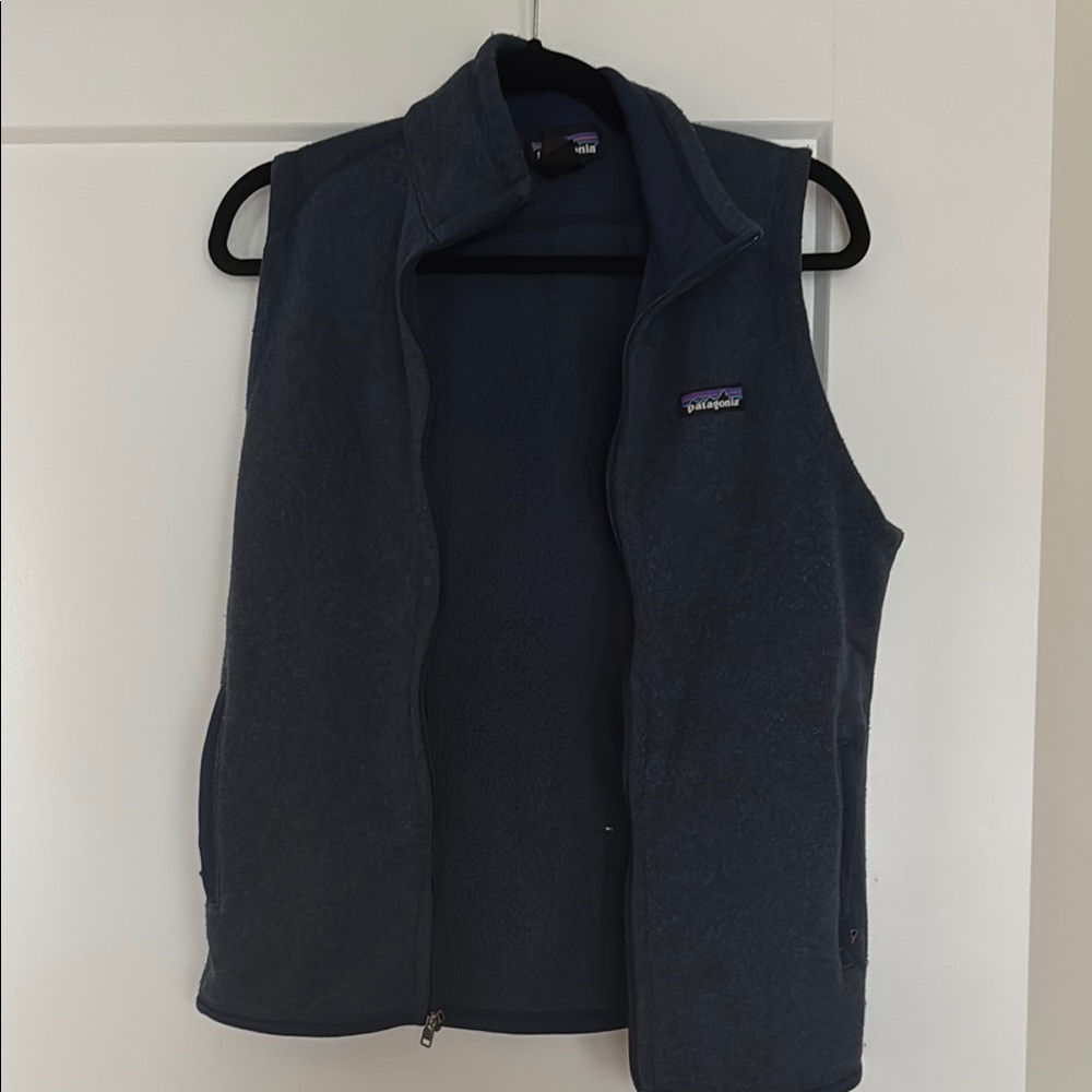 Patagonia Blue Fleece Vest